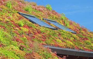 Cobbs Fenn living roof systems